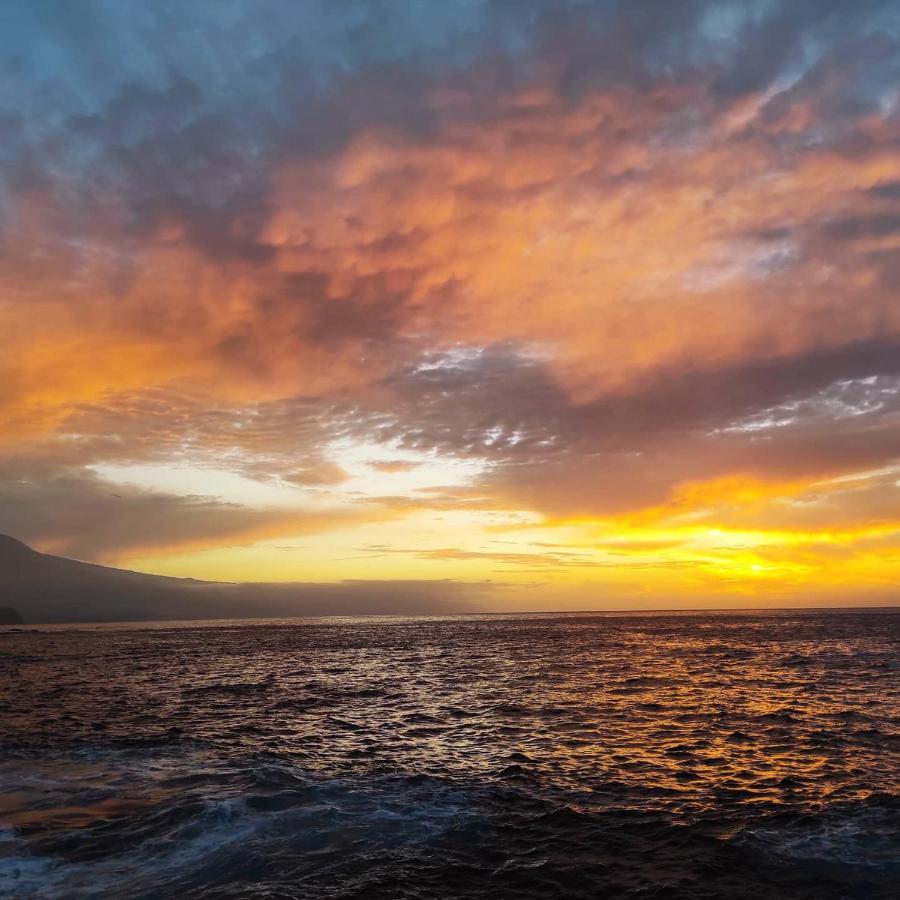 Tenerife Anahata Relax Vv Tacoronte Ngoại thất bức ảnh